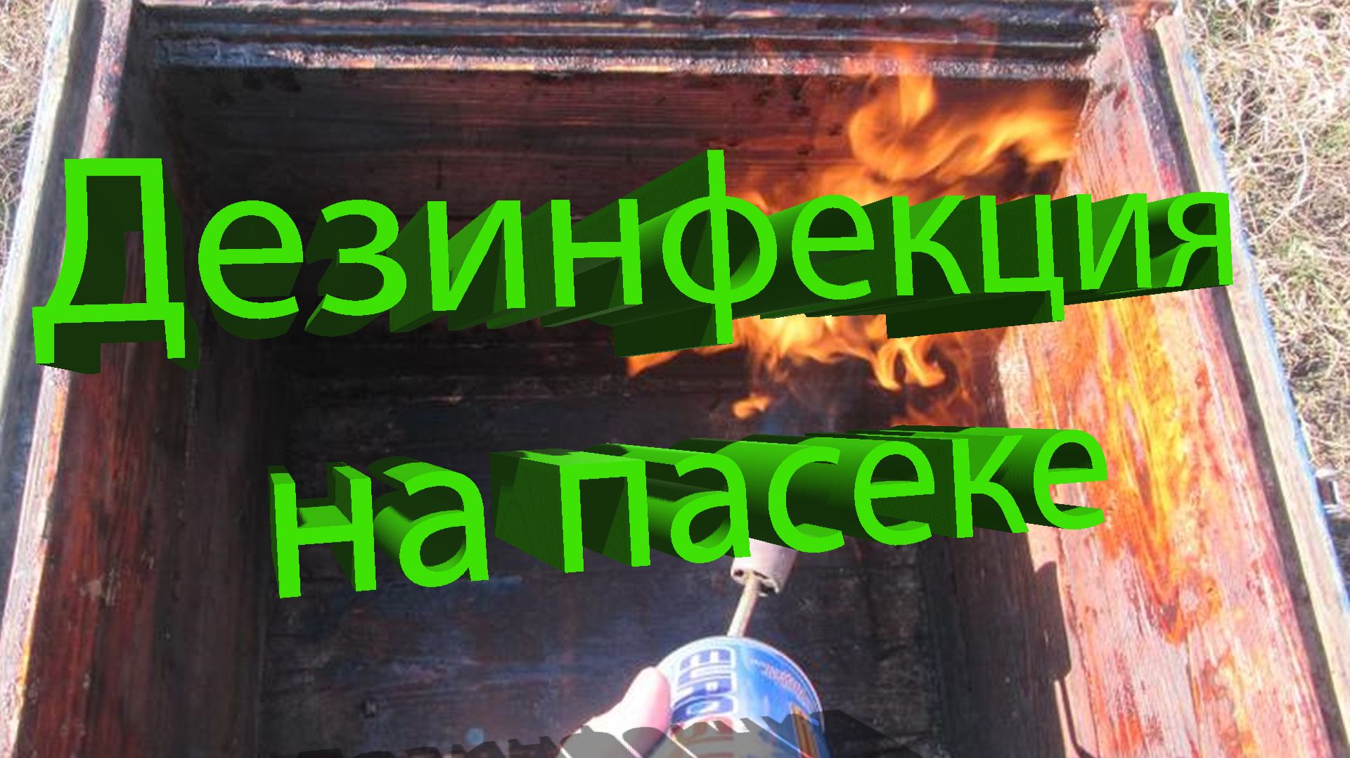 Чем дезинфицировать ульи? Кашковский отвечает (и про зольный щёлок тоже) 🧼🐝