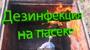 Чем дезинфицировать ульи? Кашковский отвечает (и про зольный щёлок тоже) 🧼🐝