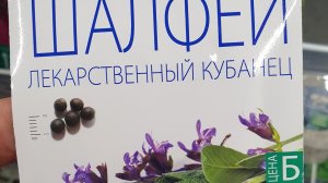 Моя рассада через несколько дней после пикирования. Обзор, обработка.