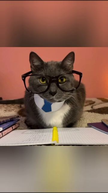 Геннадий Петрович