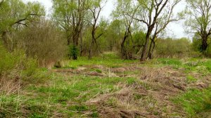 Начало мая 2025 года