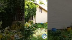 Матушка Матронушка