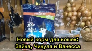 Купила новый корм для кошек, им понравился