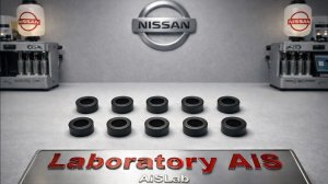 Прокладки инжекторов, 10шт, AiS-G019, NISSAN 16636-V5000,.mp4