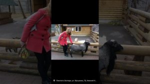 зоопарк Лимпопо Н.Новгород