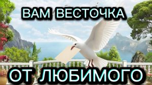 ТАРО ОТНОШЕНИЯ ❤️💌💌💌 ВАМ ВЕСТОЧКА ОТ ЛЮБИМОГО 💌💌💌❤️