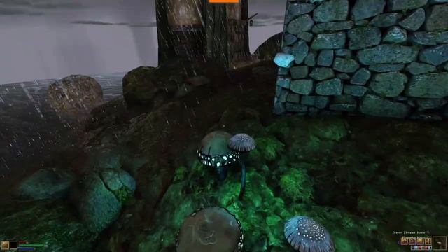 Morrowind в 2026 году. Осмотр предметов и персонажей