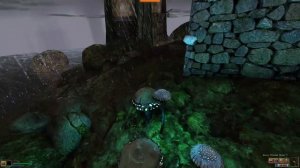 Morrowind в 2026 году. Осмотр предметов и персонажей