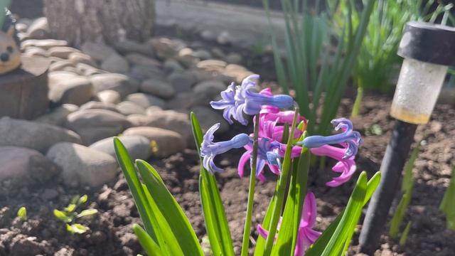 СОБИРАЮСЬ В ПОЕЗДКУ ВПЕРВЫЕ ЗА ВСЕ ВРЕМЯ ТАКОЙ ПРАЗДНИК В ТАКОМ СОСТАВЕ