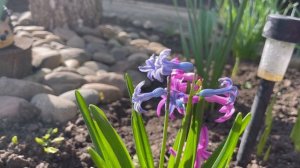 СОБИРАЮСЬ В ПОЕЗДКУ/ ВПЕРВЫЕ ЗА ВСЕ ВРЕМЯ ТАКОЙ ПРАЗДНИК В ТАКОМ СОСТАВЕ