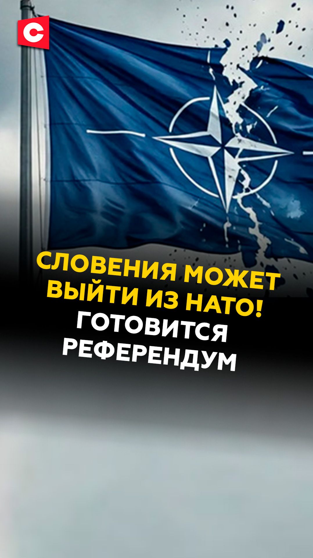 Словения может выйти из НАТО! Готовится референдум #словения #нато #кризис #ес #новости #политика