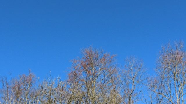 Кадры дня 2 апреля 2026 / Ижора. Межстоличье.