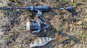 МОРМЫШИНГ. Приток Десны 12 апреля 2026 года