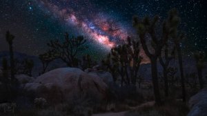 Тёмная психология притяжения: как стать опасно притягательным (по Карлу Юнгу