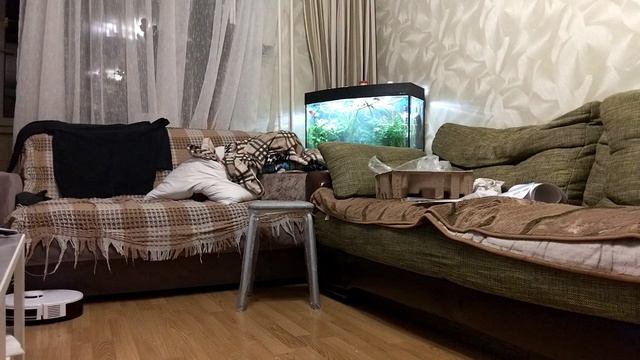 Как работает робот-пылесос Deebot Y1 Pro Plus. Начальные познания