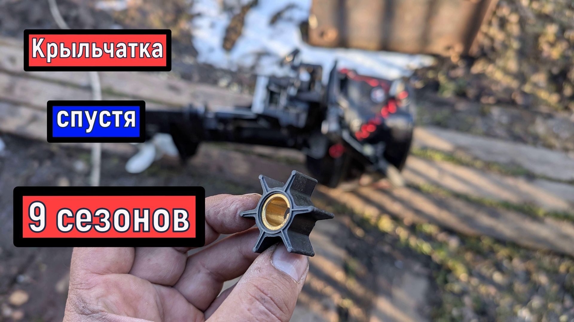 Тохатсу 9.8  аналоги   Замена  проверка  КРЫЛЬЧАТКИ  Tohatsu