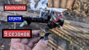 Тохатсу 9.8 / аналоги   Замена  проверка  КРЫЛЬЧАТКИ  Tohatsu