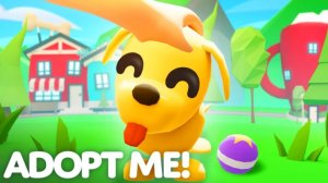 [😻] Adopt Me!