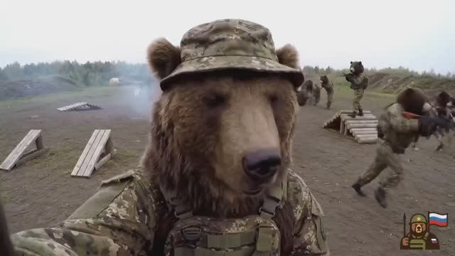 🔵Михалыч и Потапыч на СВО (несколько серий в ролике)🔵