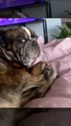 А чо сразу я👀?!))