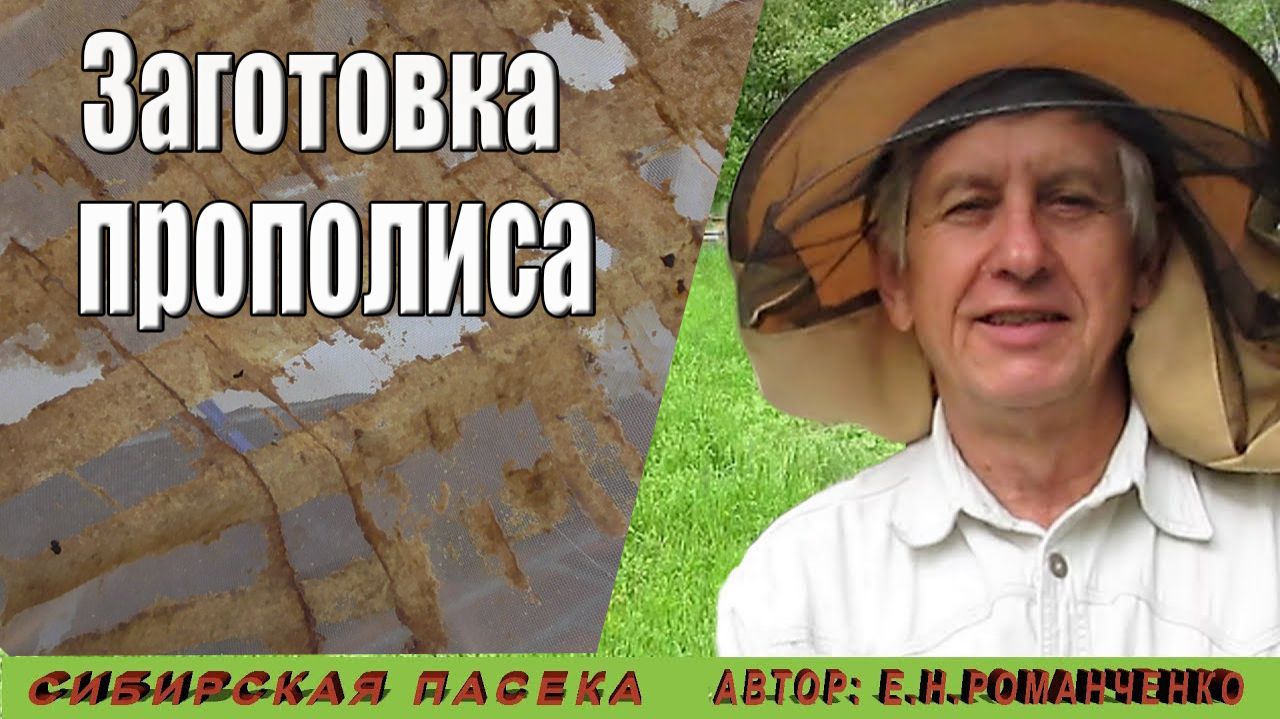 Заготовка прополиса 14.04.2026