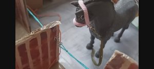 По ту сторону седла 3 серия