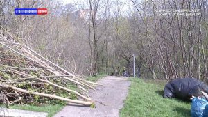 Субботник в балке Скелевой