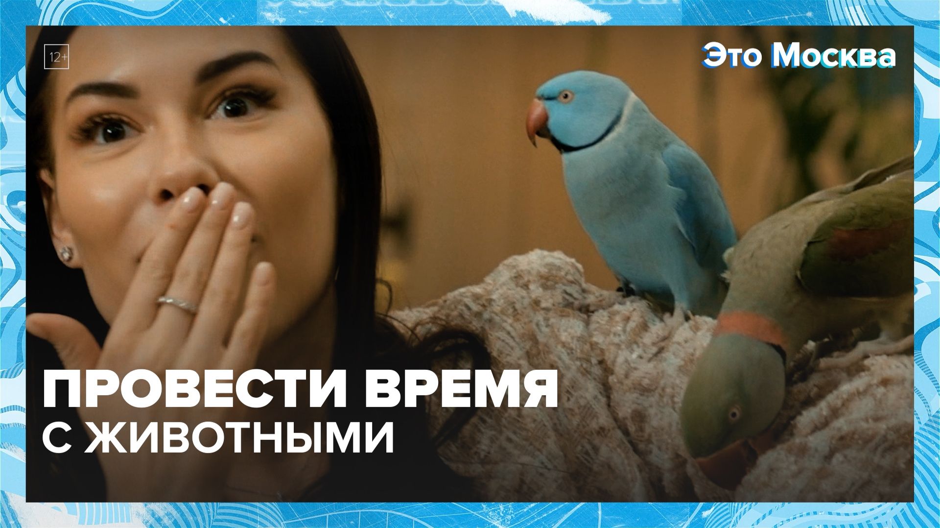 Где поиграть с животными в Москве? | Это Москва — Москва 24 | Контент
