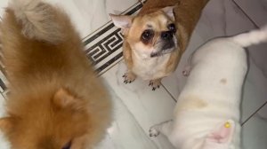 Немного заморили червячка.