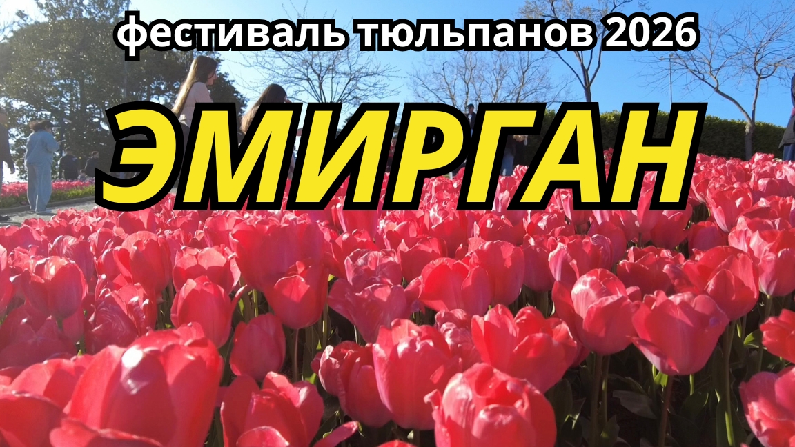 Тюльпановое безумие. Красиво и очень многолюдно.