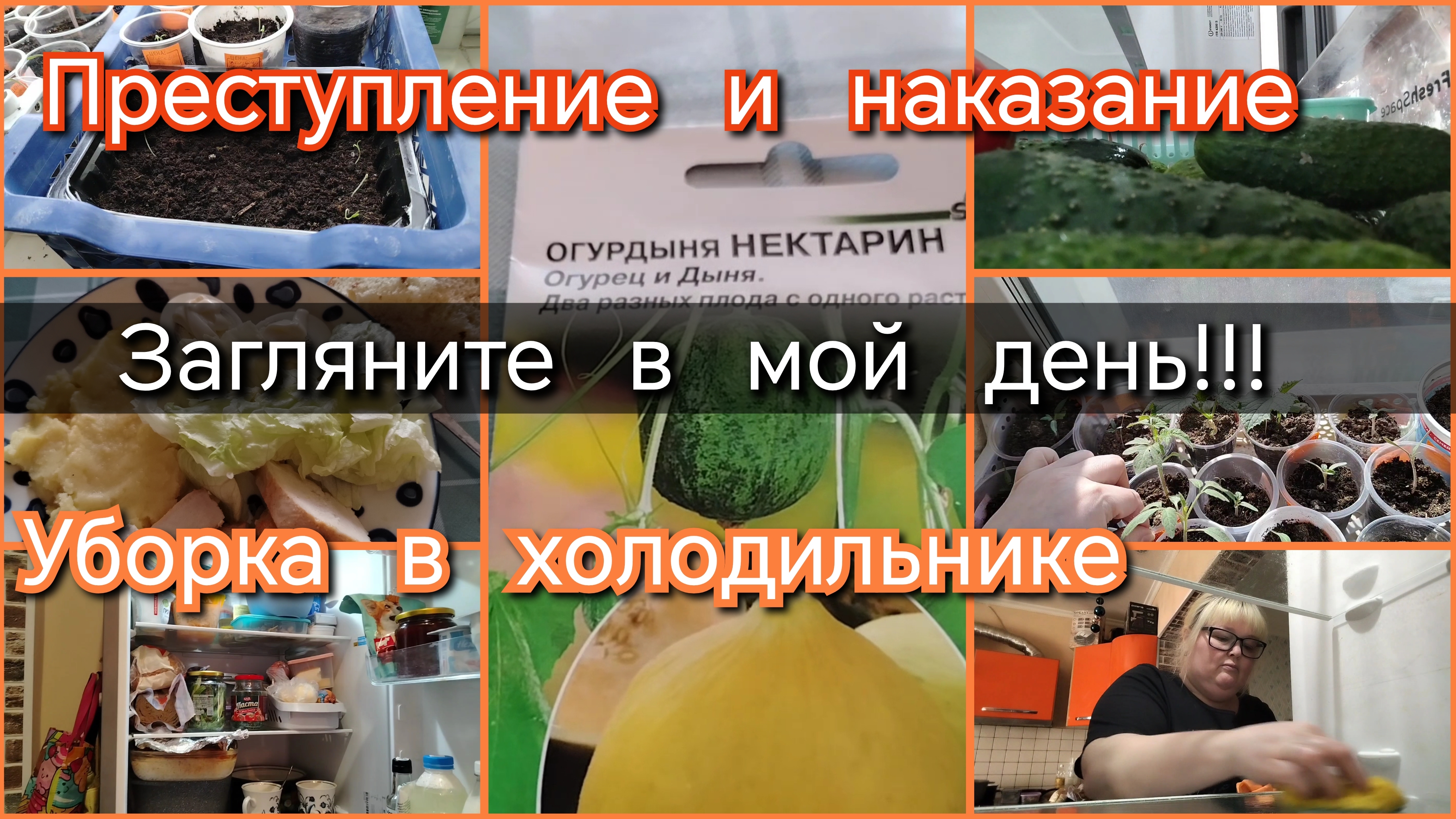 Загляните в мой день//уборка//преступление