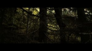 LONG LIFE BOTTLE - OFFICIAL PROMO