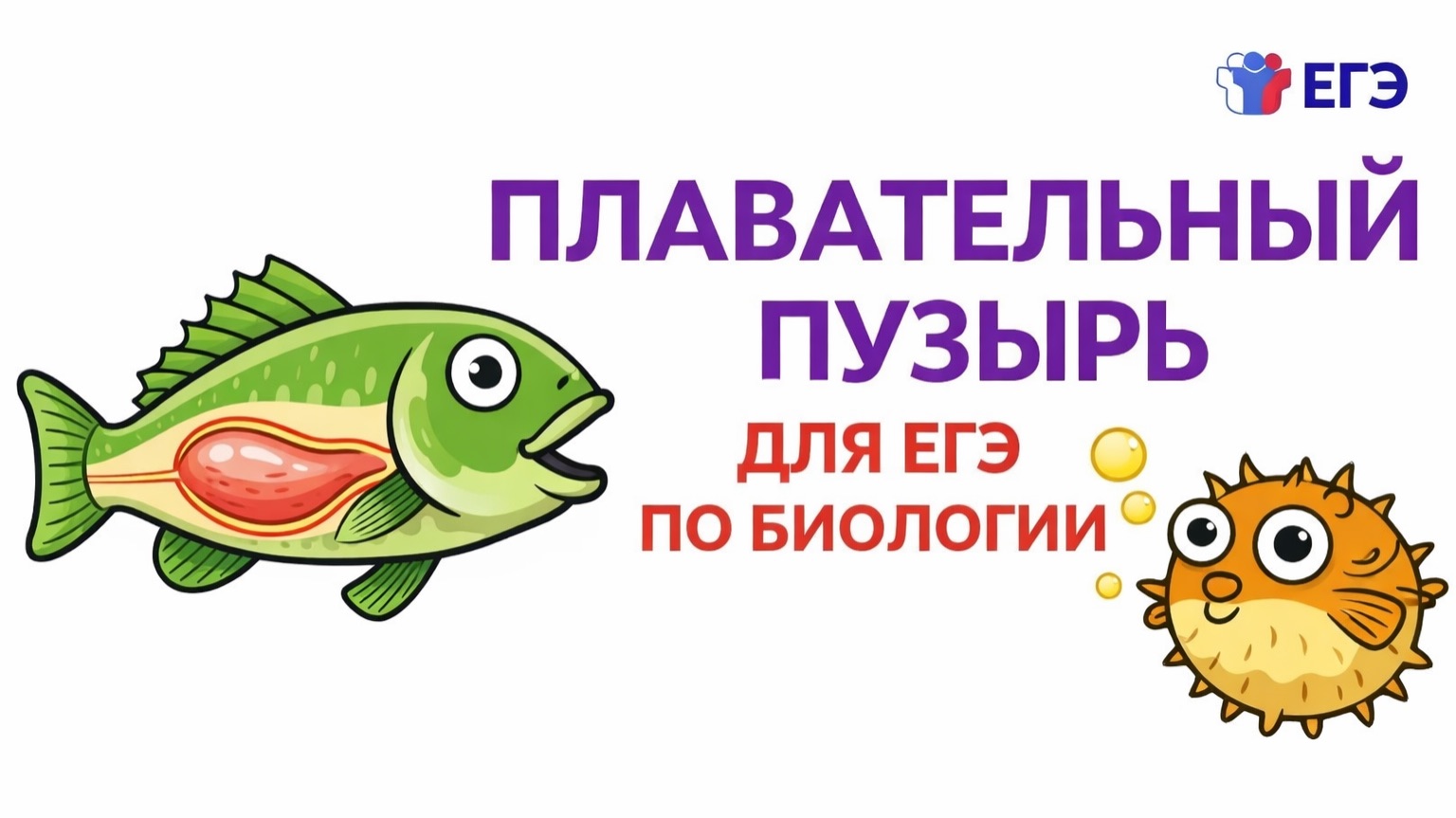 ПЛАВАТЕЛЬНЫЙ ПУЗЫРЬ ДЛЯ ЕГЭ ПО БИОЛОГИИ
