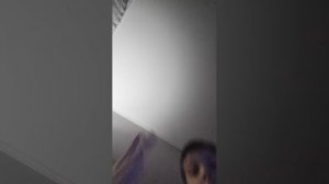 трансляция