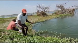 Вот такие РЫБИНЫ клюют на удочку!!