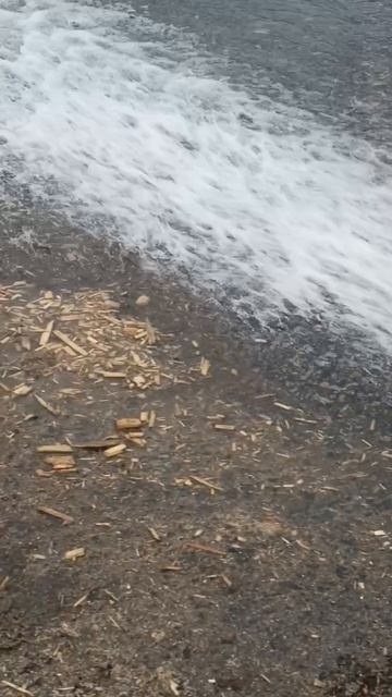 Затопило пожарный колодец.