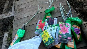 Решили отдохнуть... Я тебя домой не пущу..