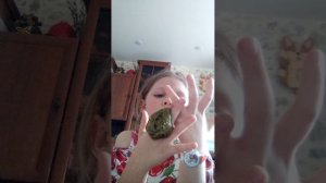 VID_20260415_142915.mp4