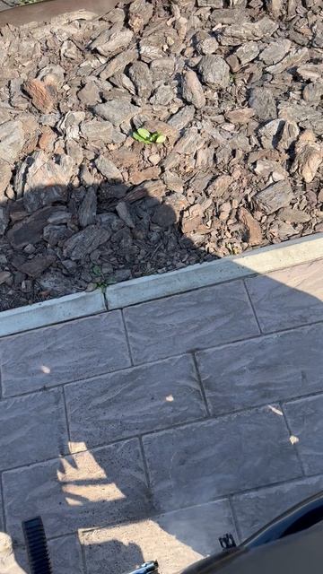 Новая «Тула» 1993 года в продаже.