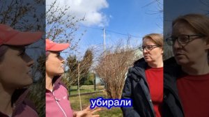 Отзыв клиентки