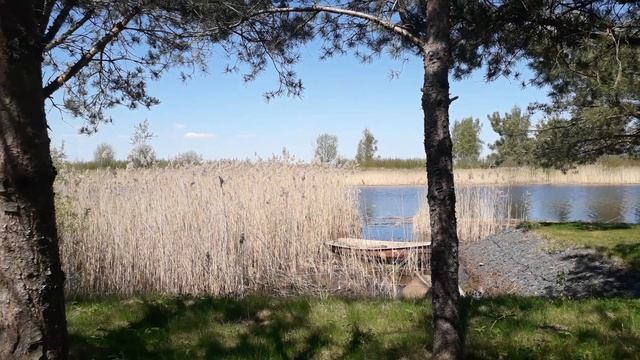 Санкт- Петербург, куда поехать отдыхать. Приладожье. Новоладожский канал, Ладожское озеро. Красота