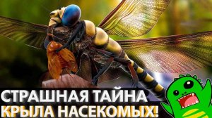 КАК РАКИ НАСЕКОМЫМ КРЫЛО ПОДАРИЛИ | Эволюция членистоногих | Артроподы