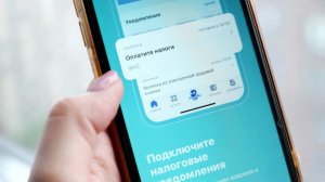 Мошенники обманывают россиян под видом неуплаты налогов