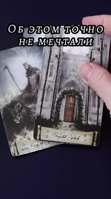 Об этом точно не мечтали. Таро