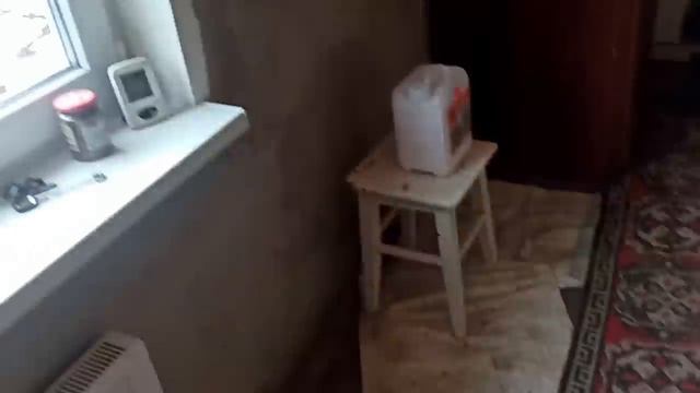 31 января ,1 Февраля 2024г.Мой дом.Простерилизовала Бусю.