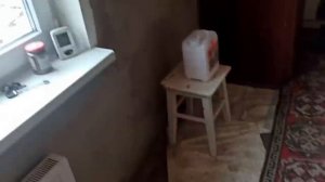 31 января ,1 Февраля 2024г.Мой дом.Простерилизовала Бусю.