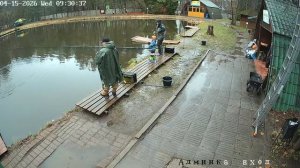 Голицыно Fish.mp4