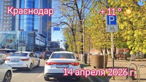 Краснодар - поездка по городу - ул. Красная - 14 апреля 2026 г.