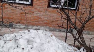 с добрым утром