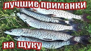 Рыбалка на амурскую щуку с лодки.